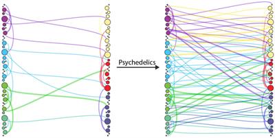 Reduced Precision Underwrites Ego Dissolution and Therapeutic Outcomes Under Psychedelics